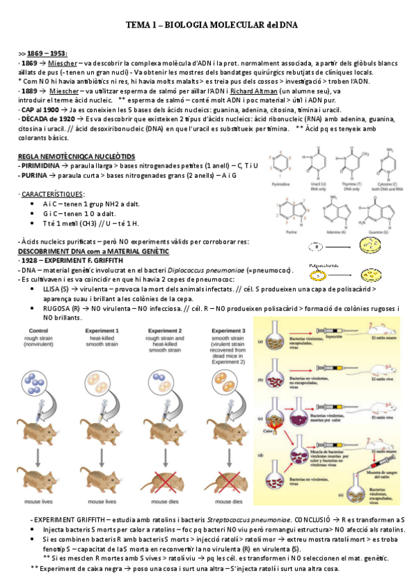 Miniatura del documento TEMA-1.pdf
