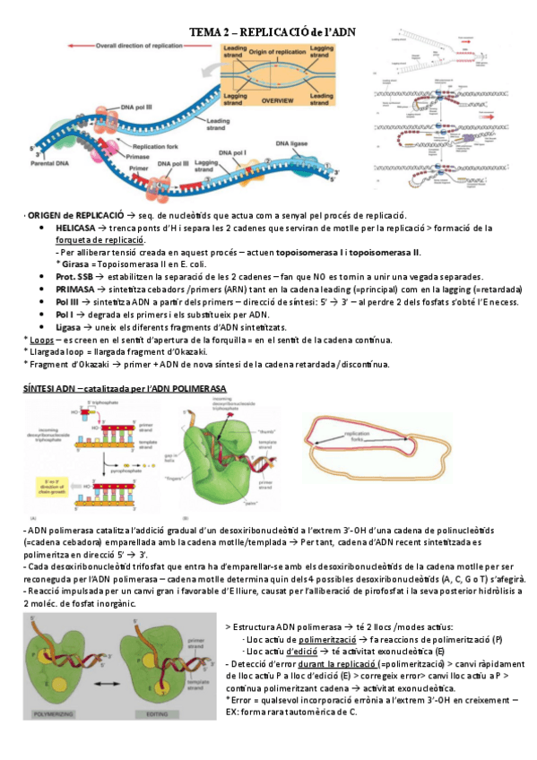 Miniatura del documento TEMA-2.pdf