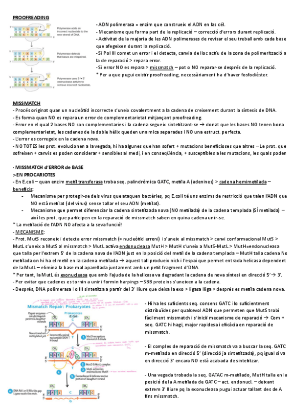 Miniatura del documento TEMA-3.pdf