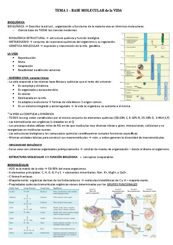 Miniatura del documento TEMA-1.pdf