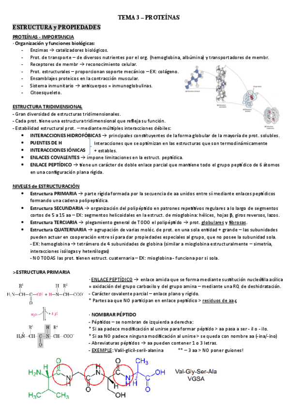 Miniatura del documento TEMA-3.pdf