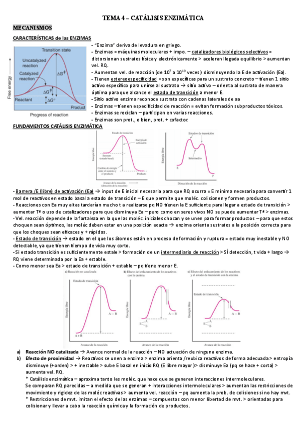 Miniatura del documento TEMA-4.pdf