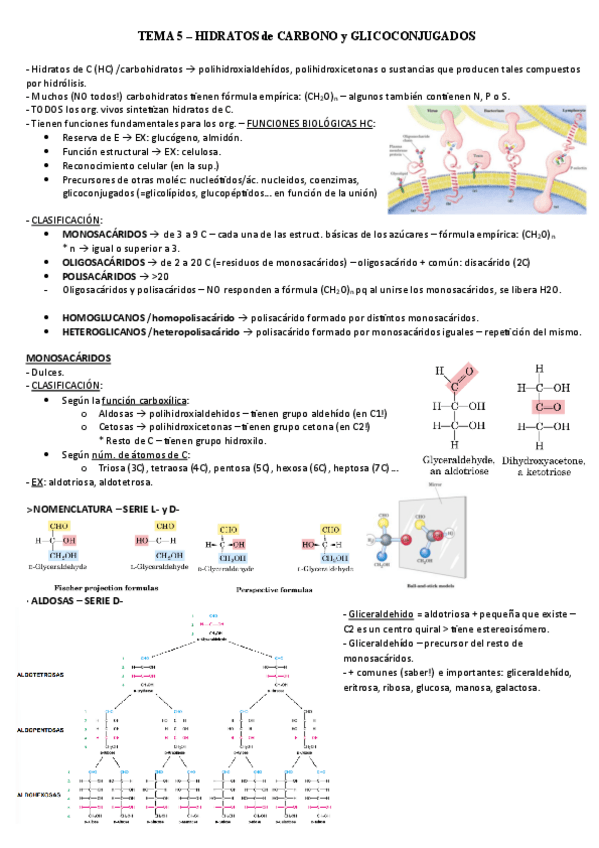 Miniatura del documento TEMA-5.pdf