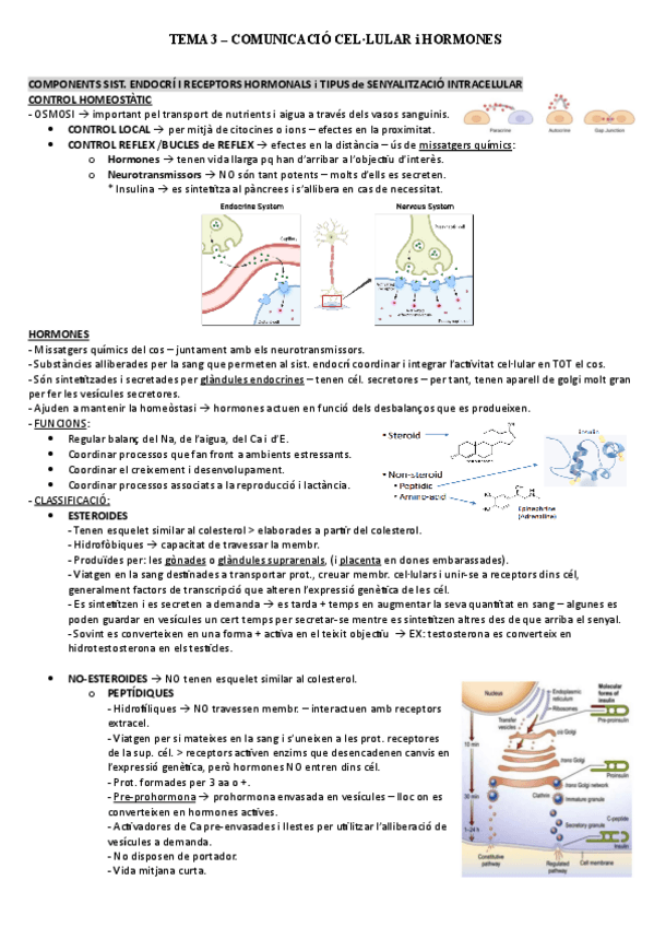 Miniatura del documento TEMA-3.pdf