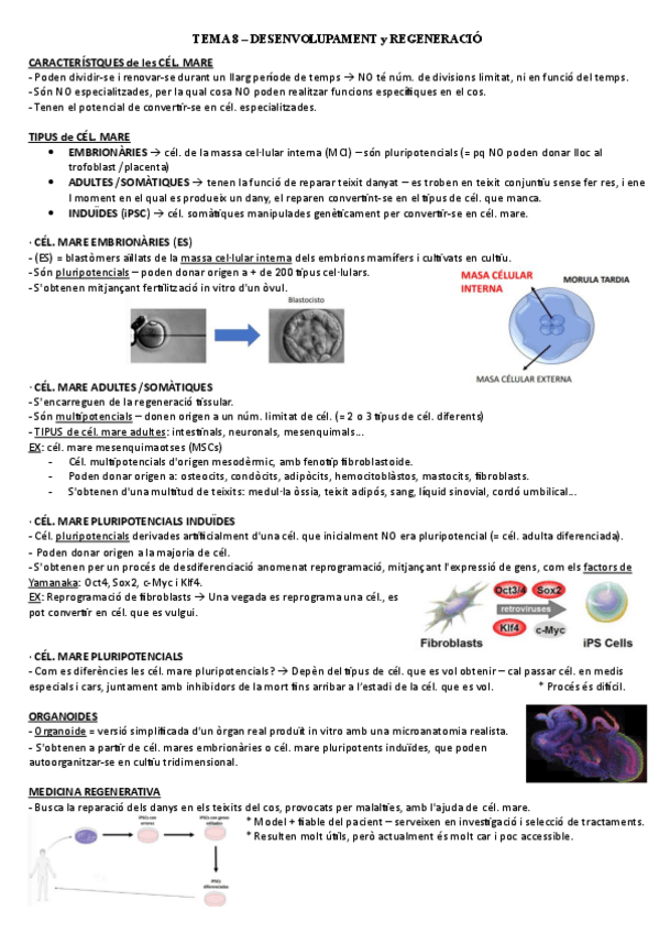 Miniatura del documento TEMA-8-i-9.pdf