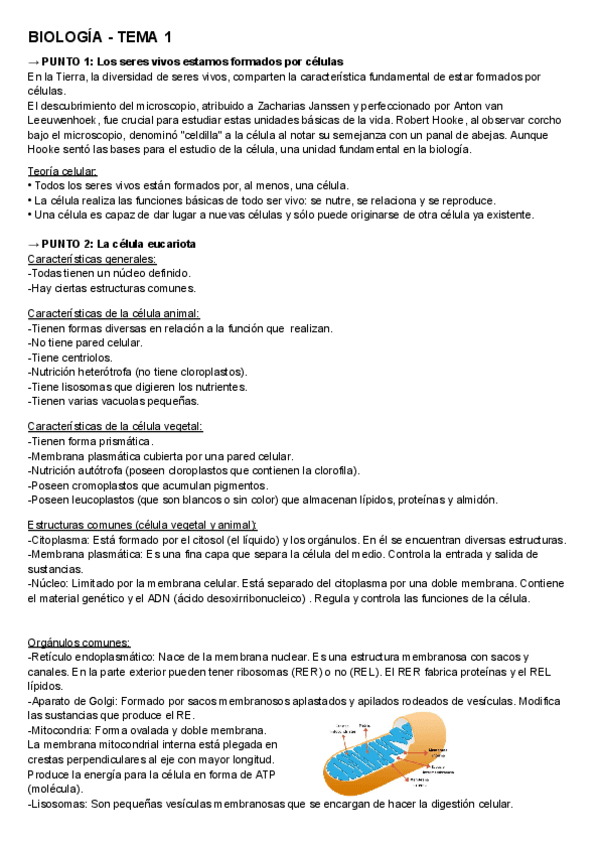 Miniatura del documento Biologia-4oESO-1erT.pdf