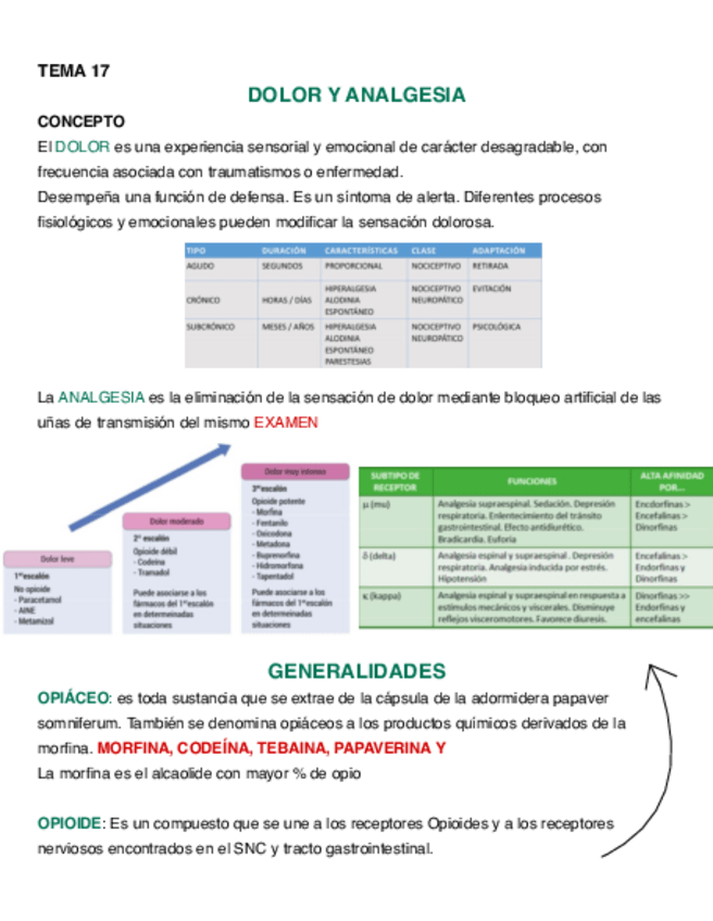 Miniatura del documento TEMA-17-FARMA.pdf