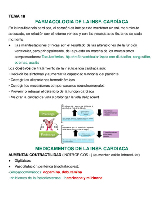 Miniatura del documento TEMA-18-FARMA.pdf