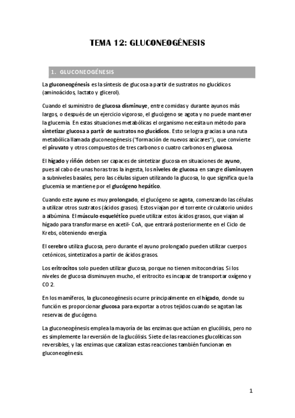 Miniatura del documento TEMA-12-GLUCONEOGENESIS.pdf