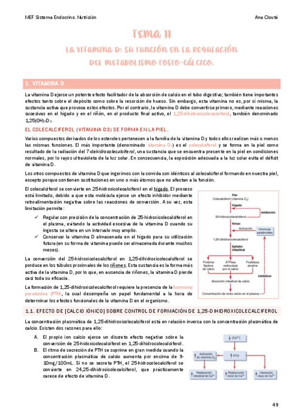 Miniatura del documento Tema-11.pdf