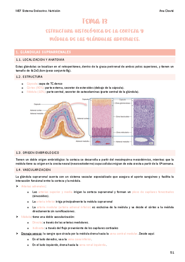 Miniatura del documento Tema-13.pdf