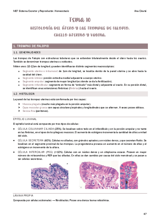 Miniatura del documento Tema-10.pdf
