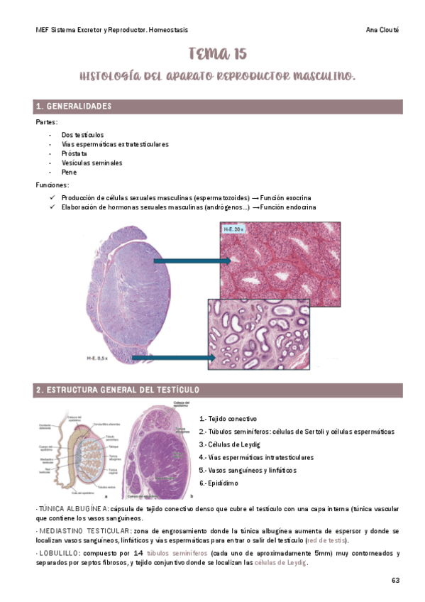 Miniatura del documento Tema-15.pdf
