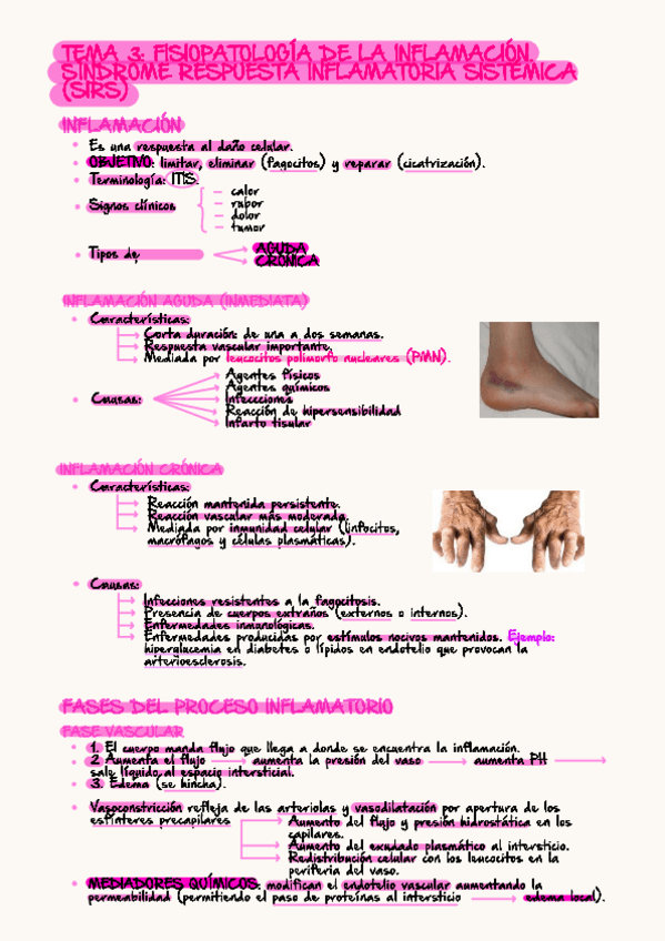 Miniatura del documento apuntes-tema-3.pdf