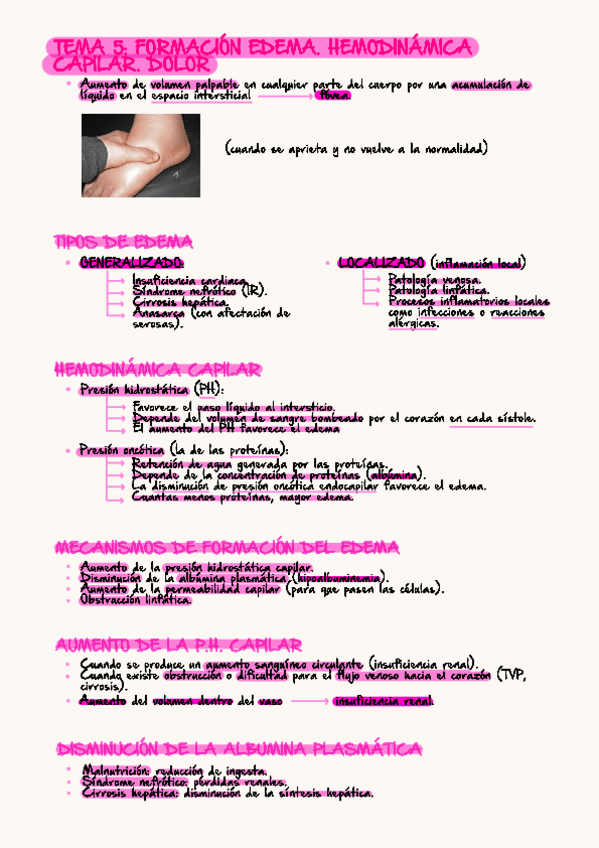 Miniatura del documento apuntes-tema-5.pdf