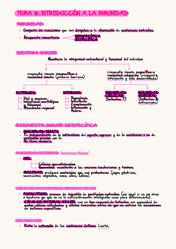 Miniatura del documento apuntes-tema-6.pdf