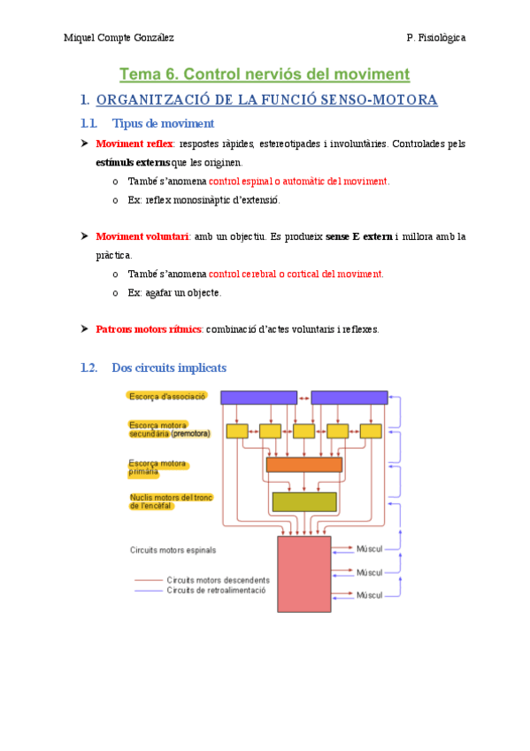 Miniatura del documento TEMA 6. Control nerviós del moviment .pdf