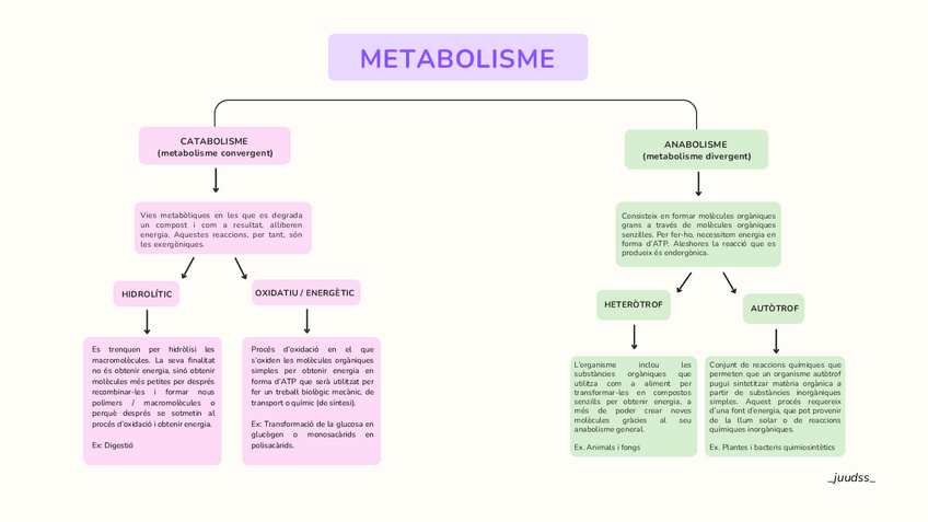 Miniatura del documento ESQUEMES-METABOLISME.pdf