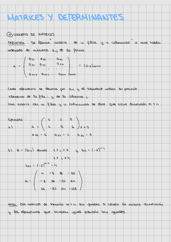Miniatura del documento Matrices-y-determinantes.pdf