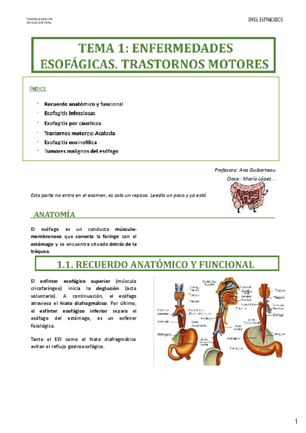 Miniatura del documento Tema-1-Digestivo.pdf