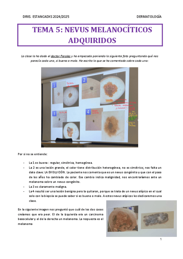Miniatura del documento Tema-5-DERMA.pdf
