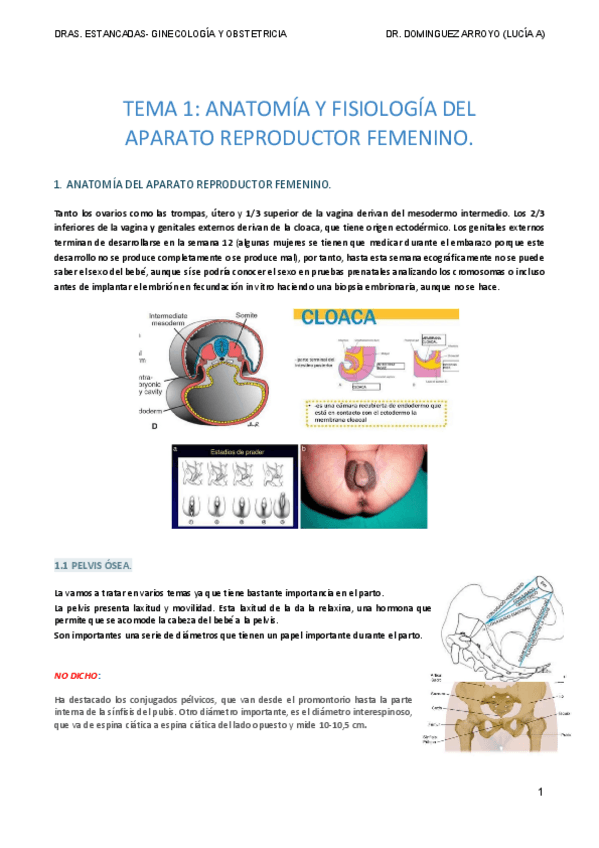 Miniatura del documento TEMA-1-GINE.pdf