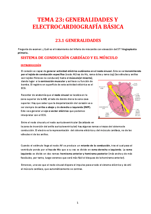 Miniatura del documento TEMA-23.1-CARDIO-1.pdf