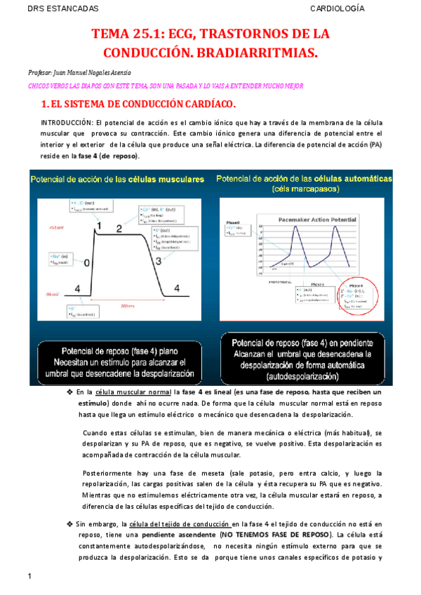 Miniatura del documento TEMA-25.1-CARDIO.pdf