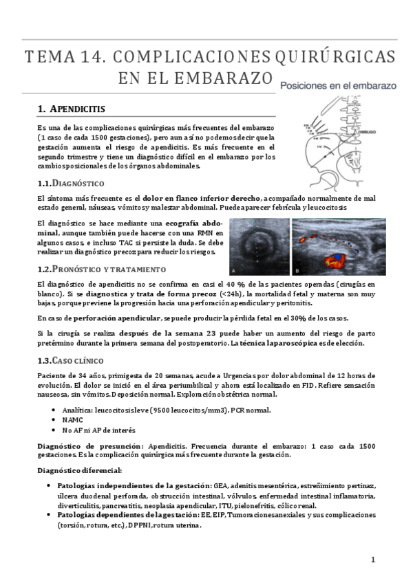 Miniatura del documento TEMA 14.pdf