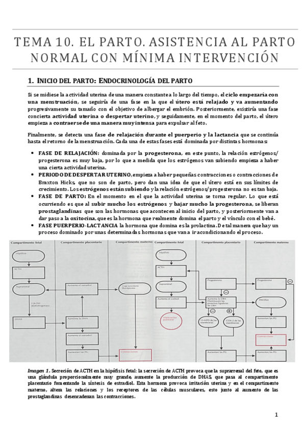 Miniatura del documento TEMA 10.pdf