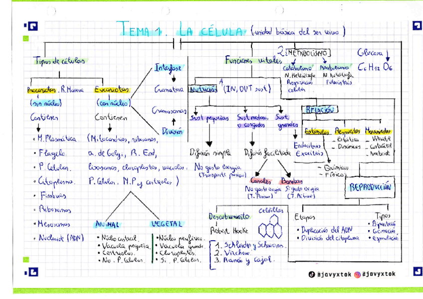 Miniatura del documento ESQUEMAS-BIOLOGIA-4o-ESO.pdf