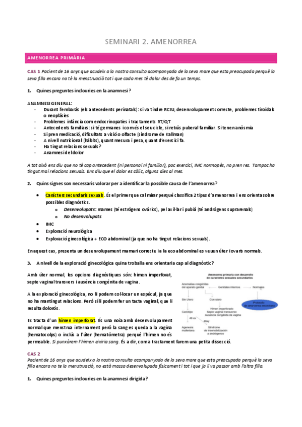 Miniatura del documento Seminari-2.-Amenorrea.pdf
