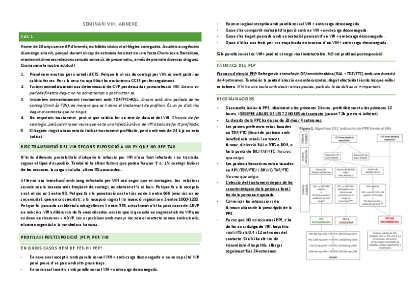 Miniatura del documento Seminari-VIH.-Anexe-Cas-1-taula.pdf