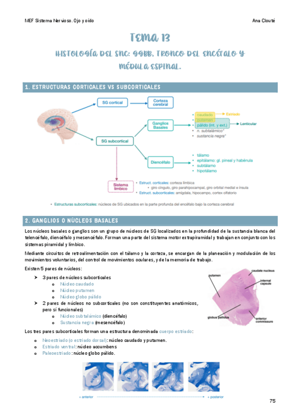 Miniatura del documento Tema-13.pdf