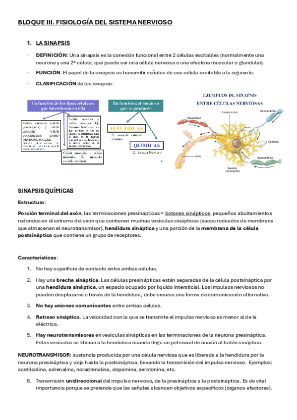 Miniatura del documento TEMA-3-FISIOLOGIA.pdf