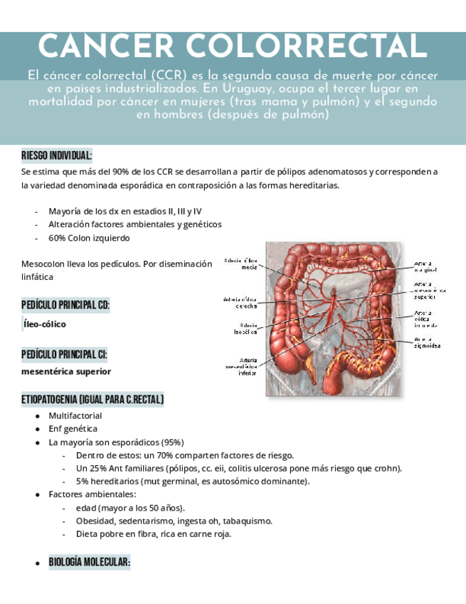 Miniatura del documento 9Cancer-Colorrectal.pdf