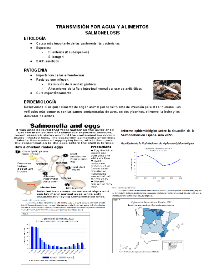 Miniatura del documento 6.2-ENF.-INFECCIOSAS-AGUA-Y-ALIMENTOSS.pdf