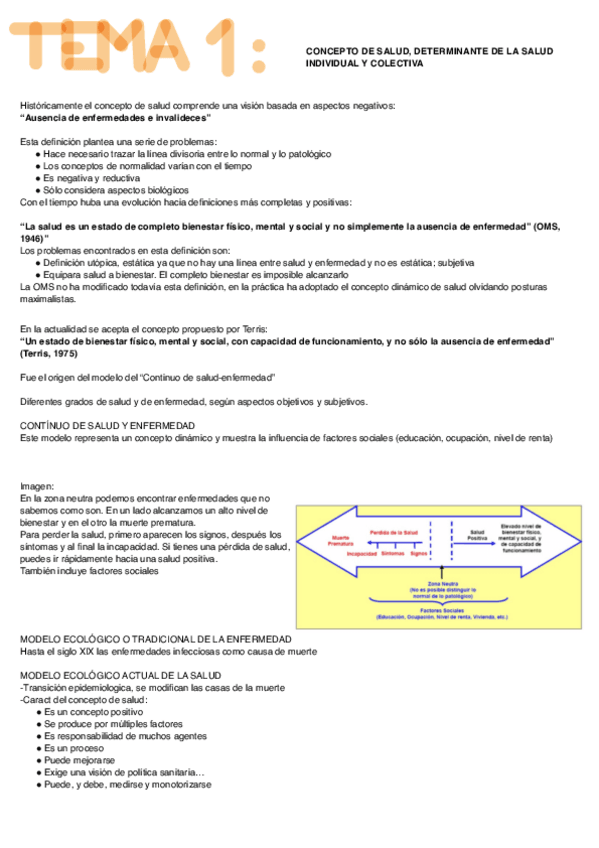 Miniatura del documento Salud-Publica-Elena.pdf