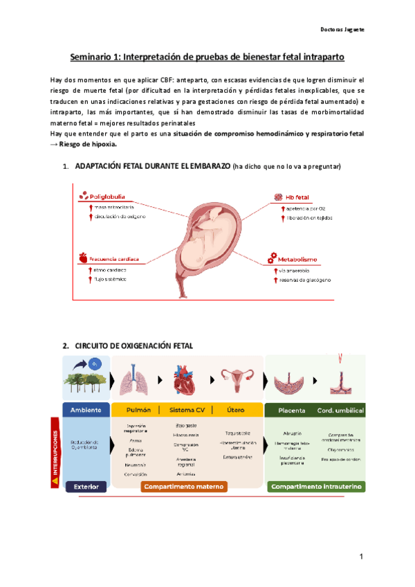 Miniatura del documento Seminario-1-Interpretacion-de-pruebas-de-bienestar-fetal-intraparto.pdf