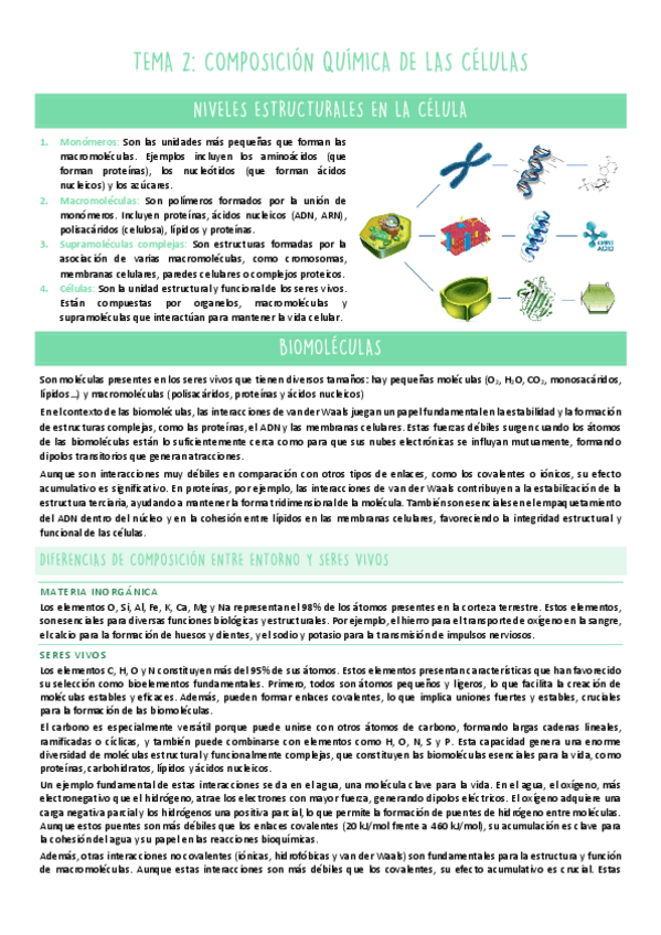 Miniatura del documento TEMA-2.pdf