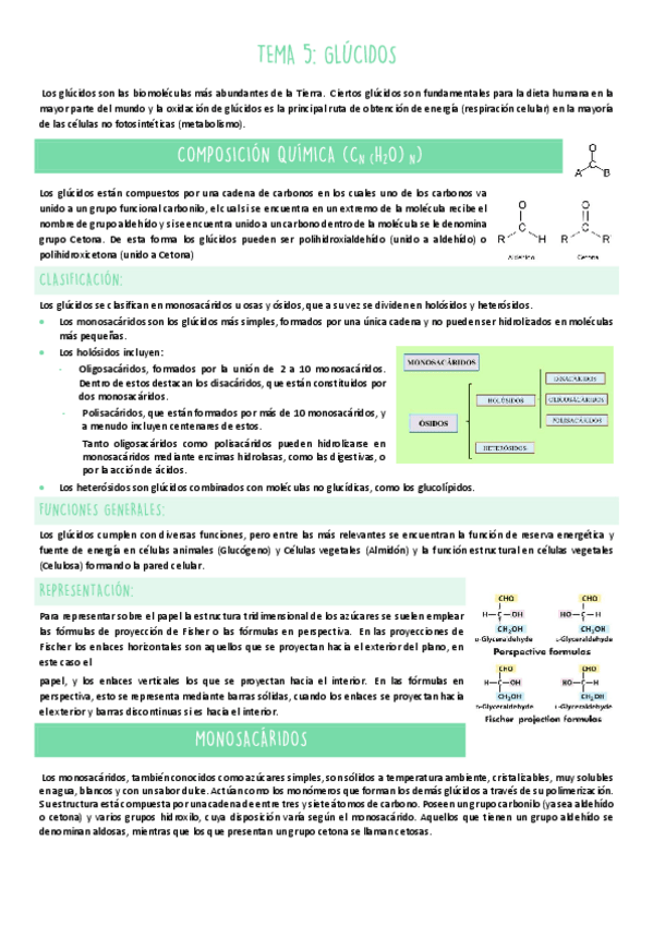 Miniatura del documento TEMA-5.pdf