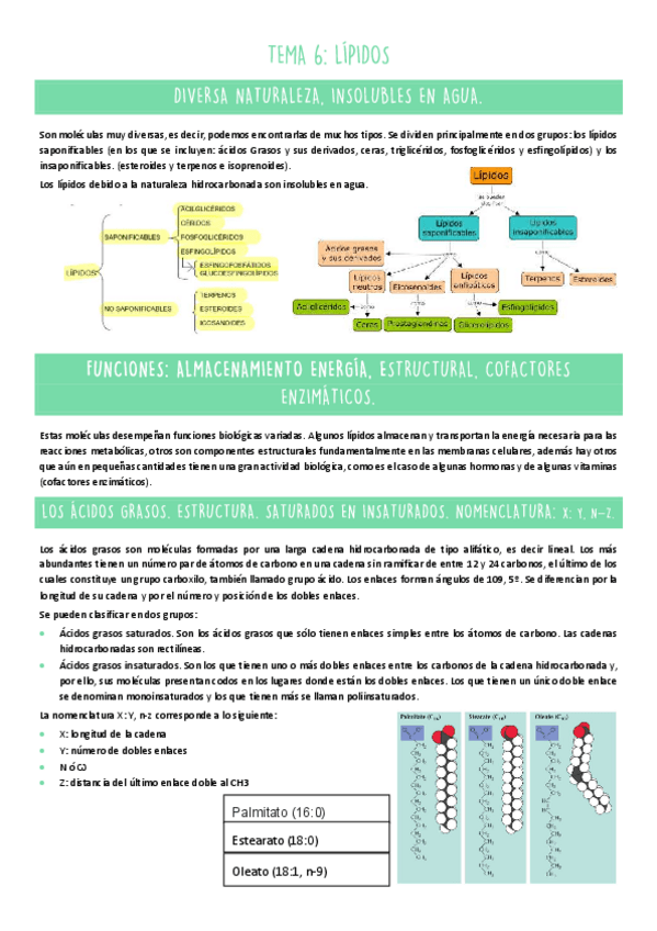 Miniatura del documento TEMA-6.pdf