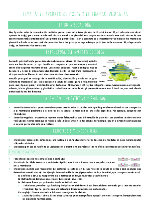 Miniatura del documento TEMA-14.pdf