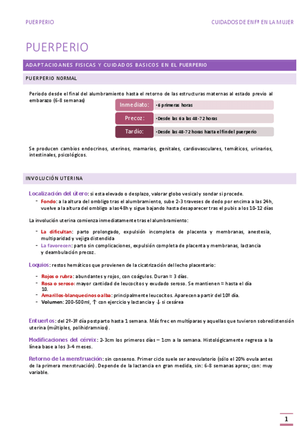 Miniatura del documento TEMA-16-PUERPERIO.pdf