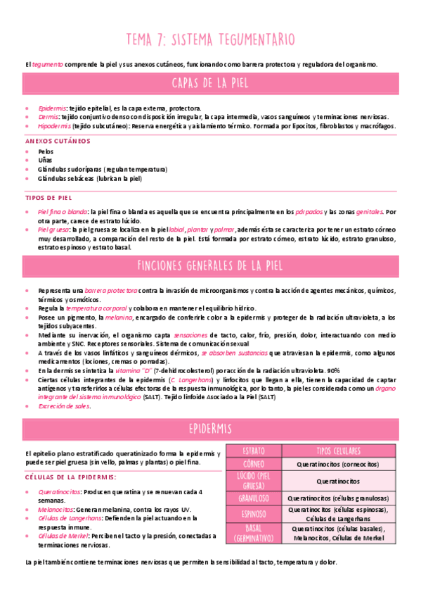 Miniatura del documento ANATO-TEMA-7.pdf