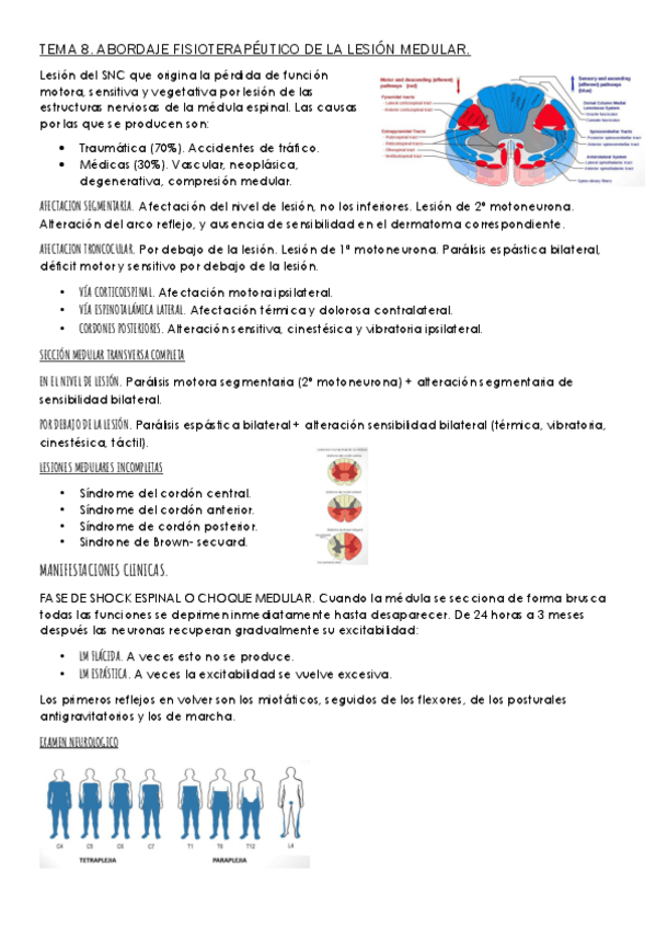 Miniatura del documento TEMA-8-NEURO.pdf
