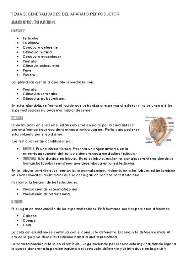 Miniatura del documento TEMA-3-GINECOLOGIA.pdf