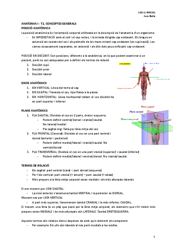Miniatura del documento 1er-parcial-ANATOMIA-I.pdf