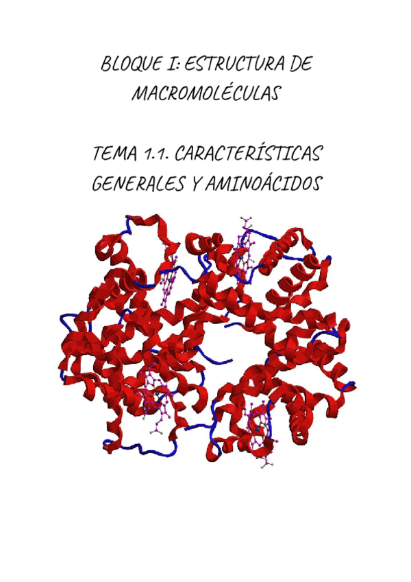 Miniatura del documento BIOQUIMICA.-CARACTERISTICAS-GENERALES-Y-AMINOACIDOS.pdf