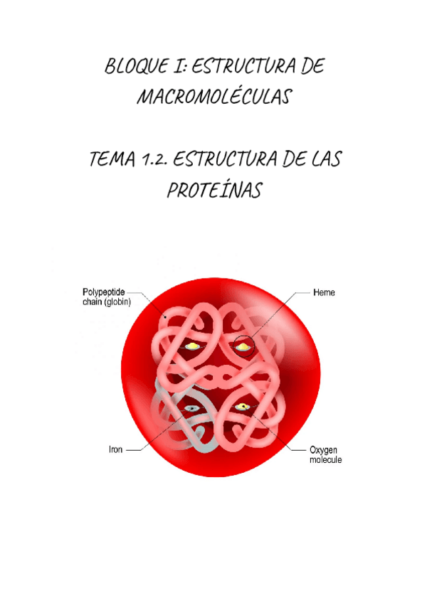 Miniatura del documento BIOQUIMICA.-ESTRUCTURA-DE-LAS-PROTEINAS.pdf